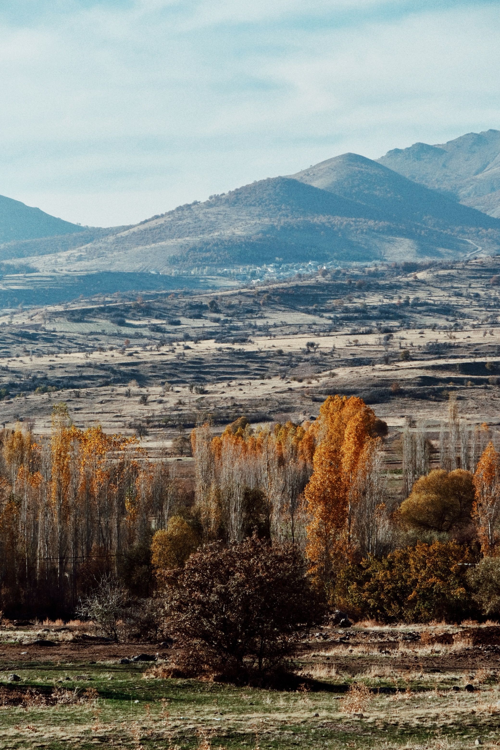 Scenic Autumn Landscape with Mountains and Trees · Free Stock Photo