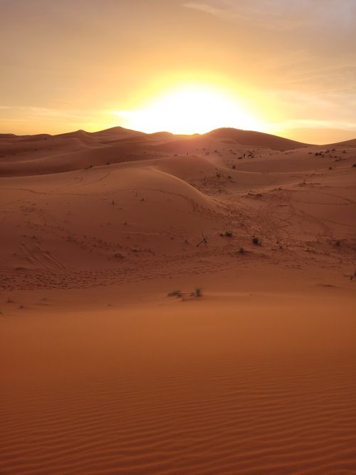 Free Serene desert landscape with golden sunset over sand dunes, capturing peaceful solitude. Stock Photo