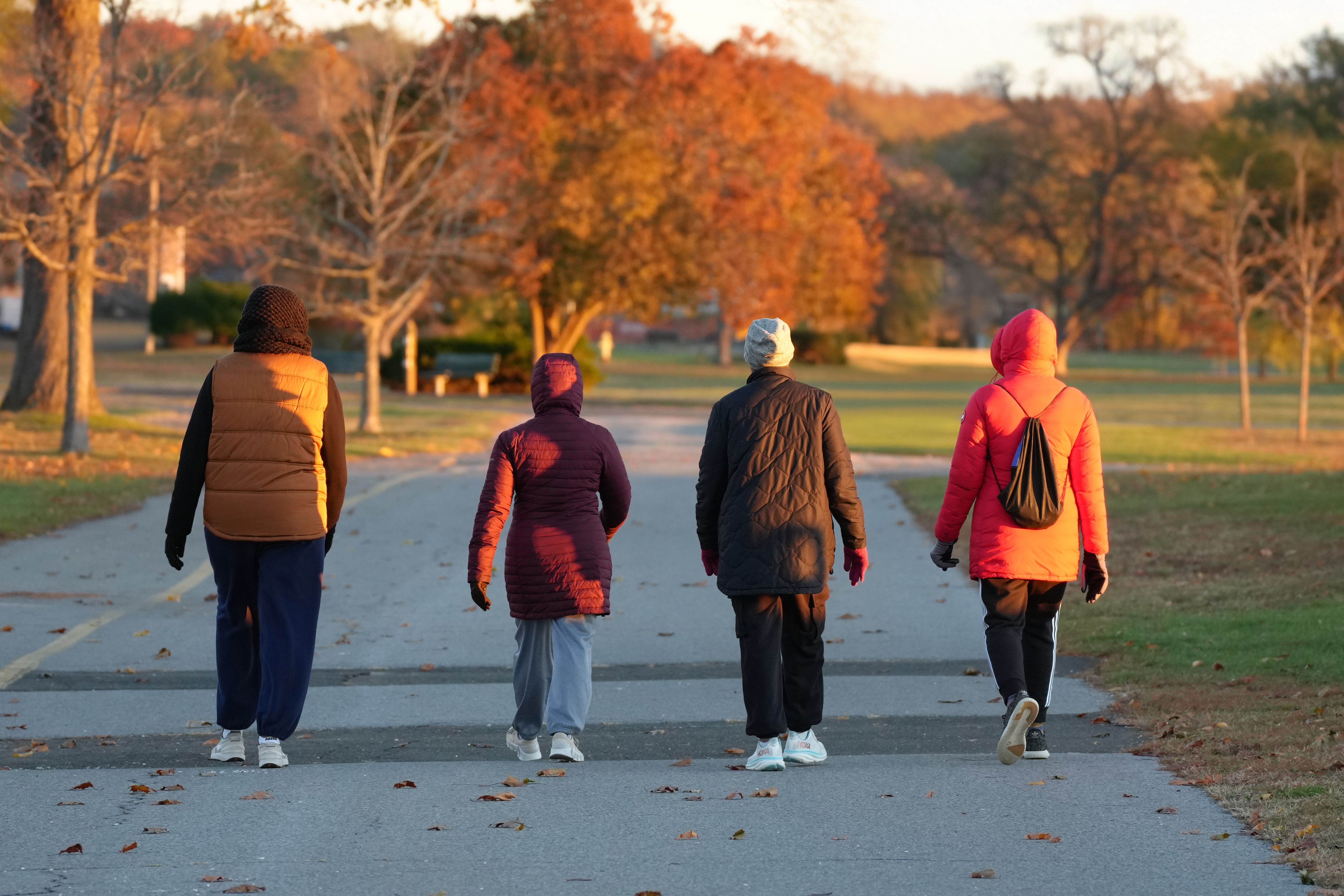 Autumn Morning Walk in Stamford Park · Free Stock Photo
