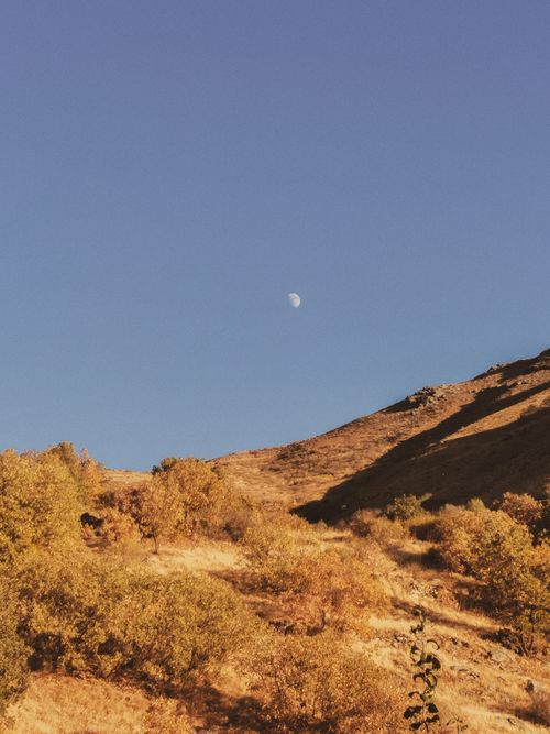 Free Scenic autumn hillside with golden foliage under a clear sky featuring a visible moon. Stock Photo