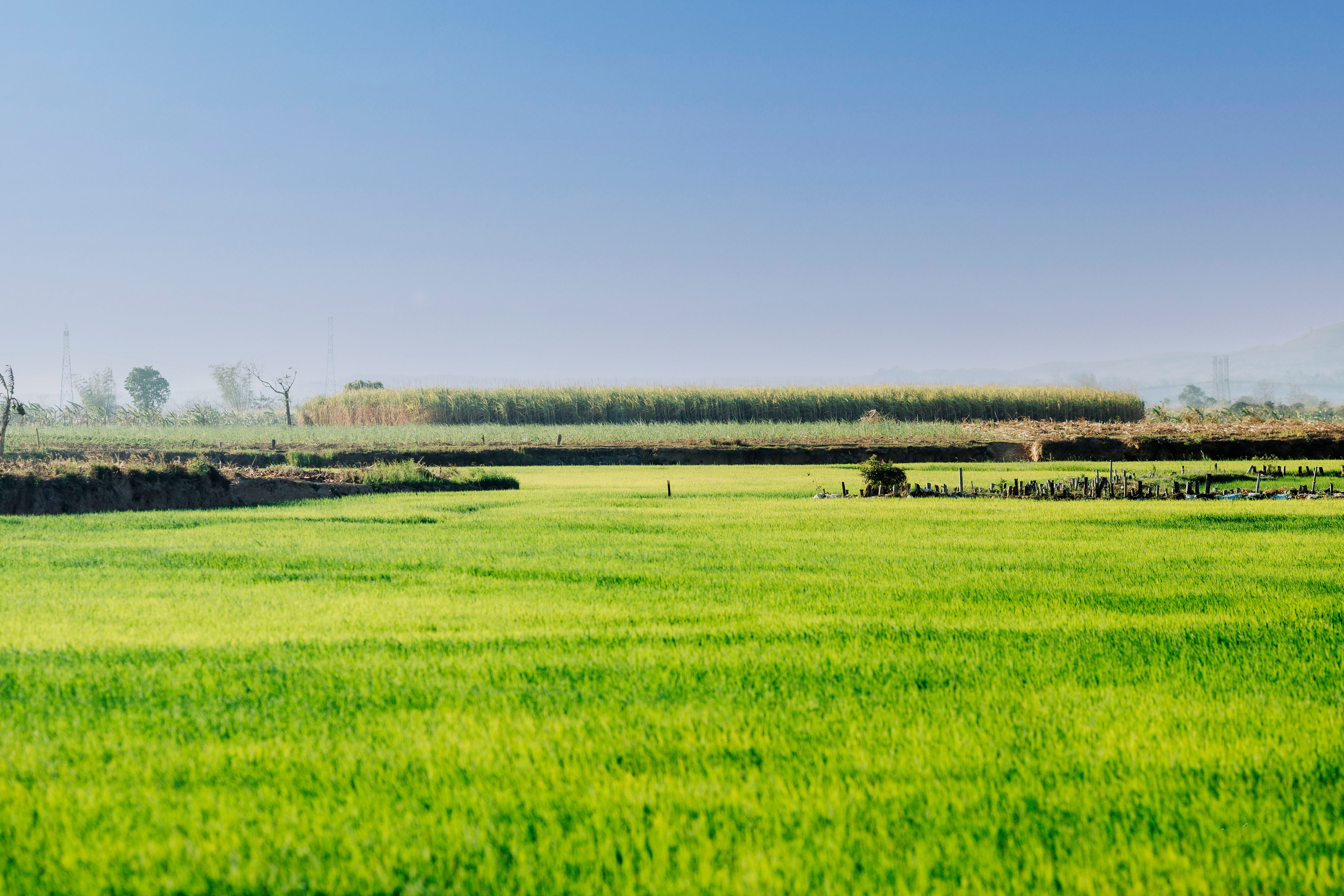 Lush Green Rice Fields in Kon Tum, Vietnam · Free Stock Photo