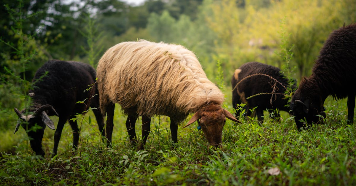 減碳從日常做起:淨零新生活七日挑戰指南