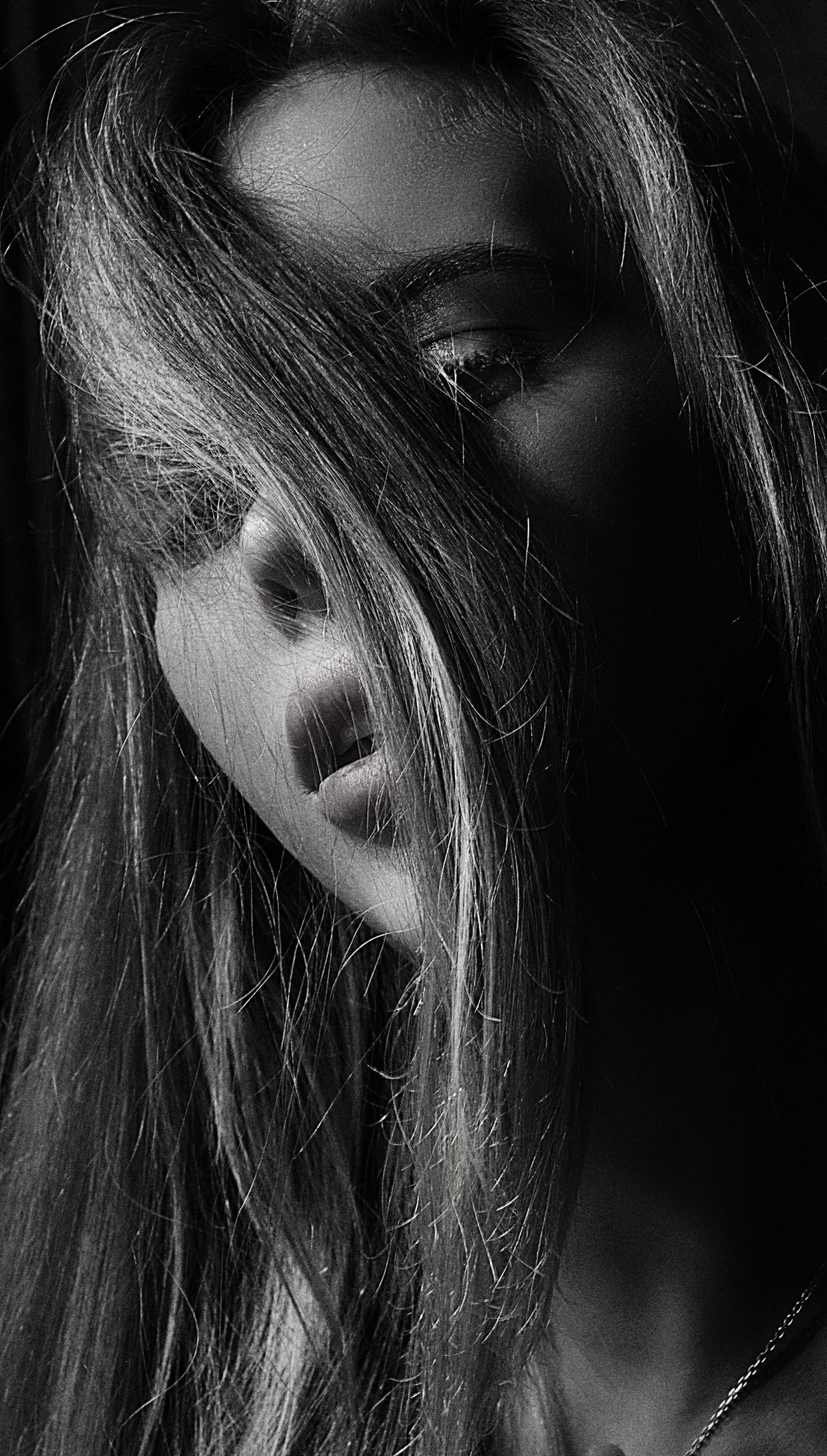 Black and White Portrait of a Beautiful Woman · Free Stock Photo