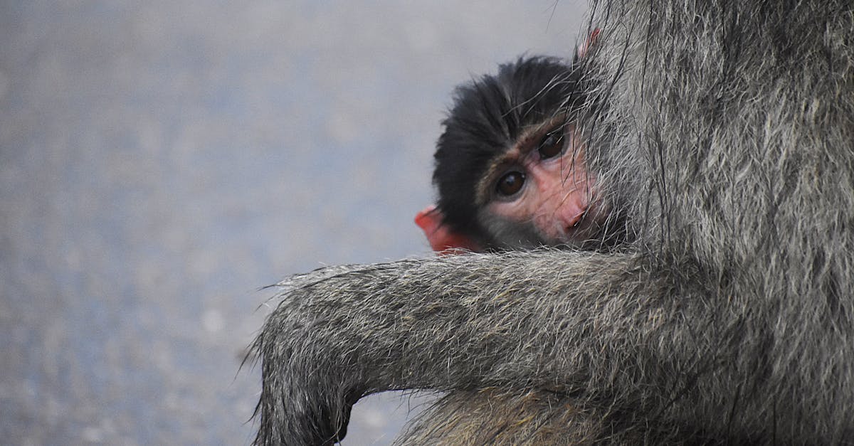 財經:美國務院力挺台灣平等參與APEC 促中國保障人身安全