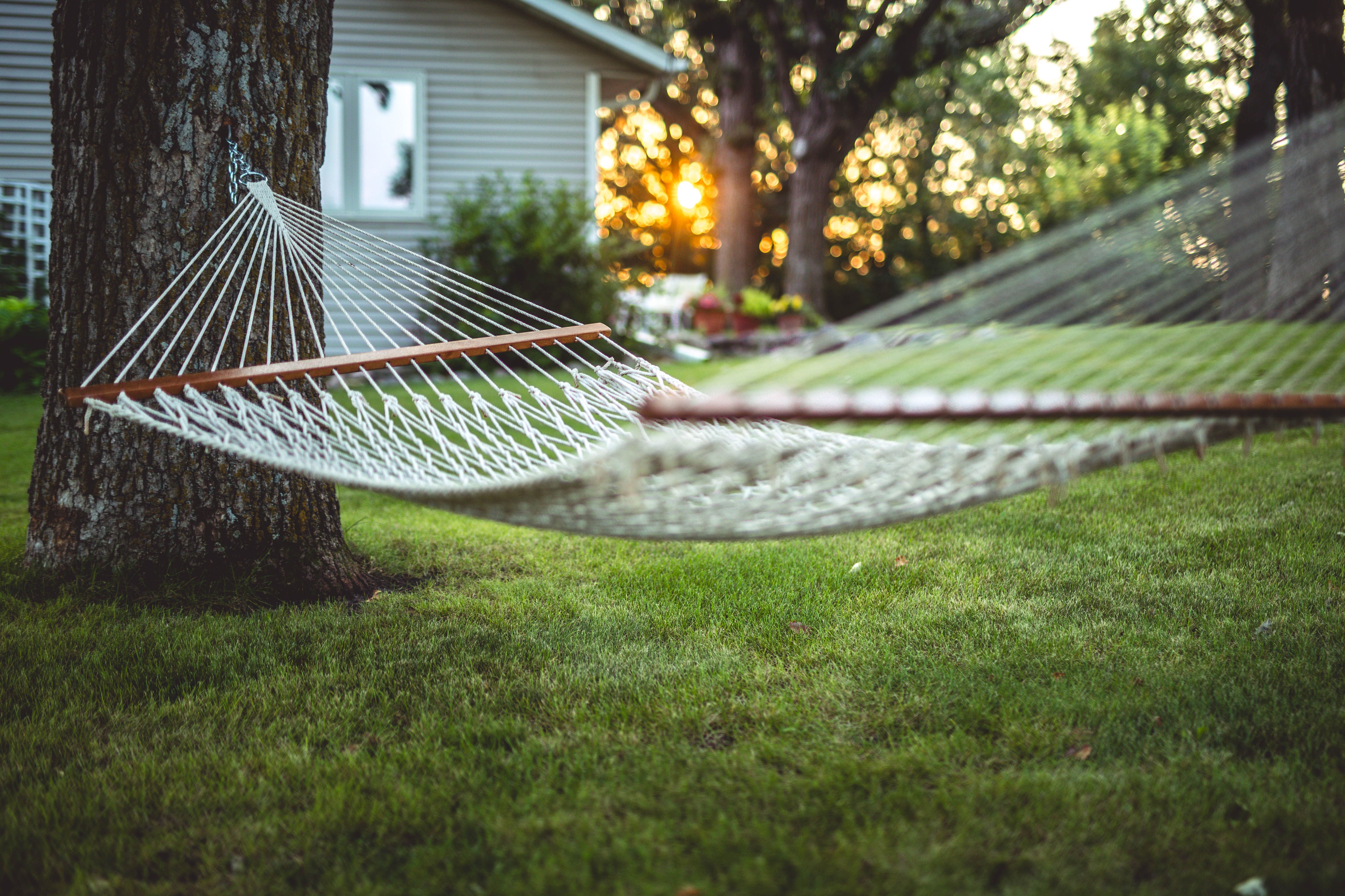 Tranquil backyard scene with hammock, tree, and sunset in Minnesota.