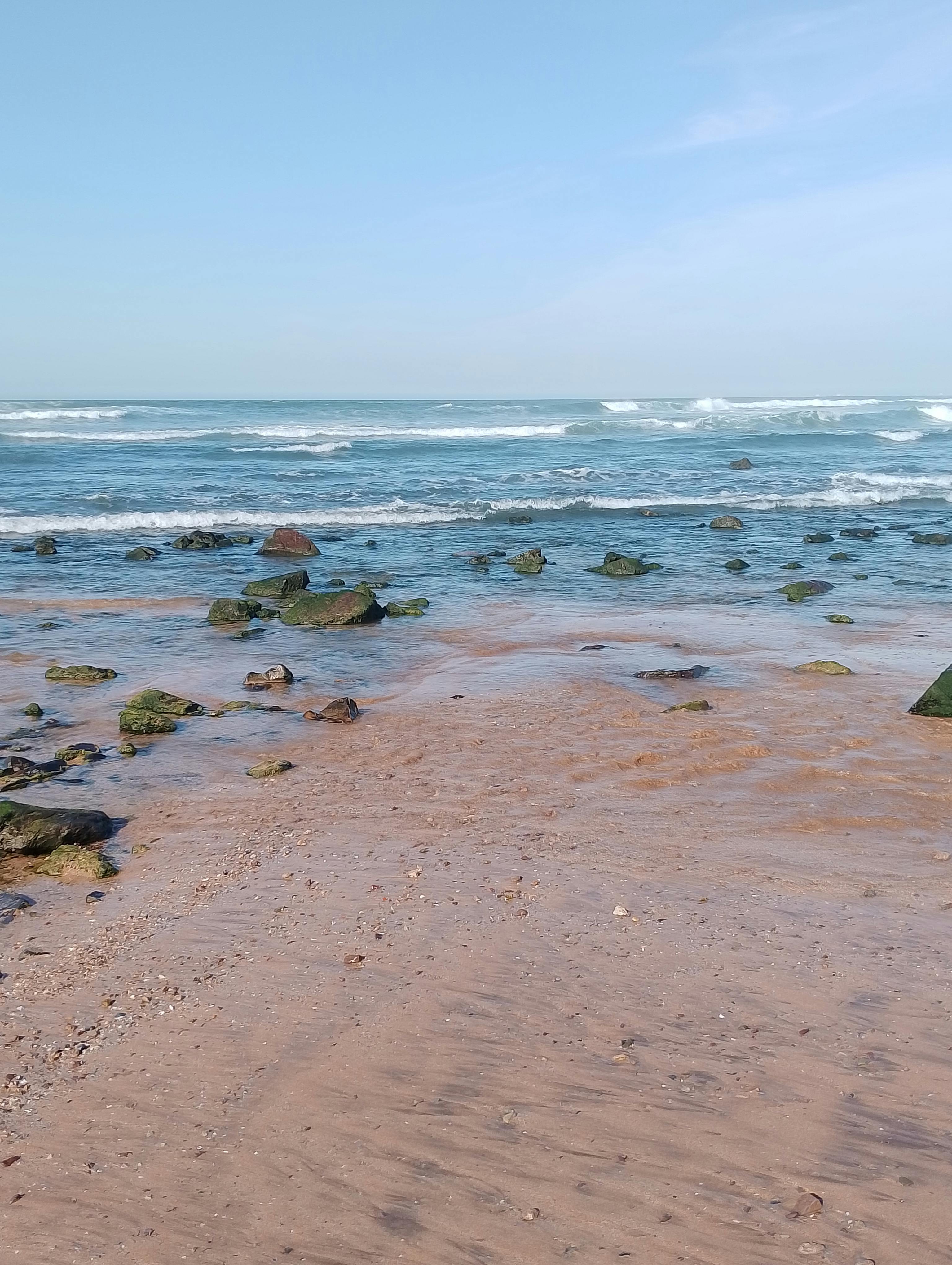 온라인 보험금 청구방법