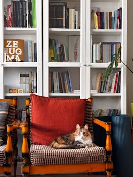 Domestic cat lounging on an armchair in a cozy home library with bookshelves.