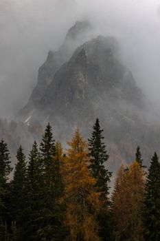 Foggy mountain peak with autumn foliage, creating a dramatic and moody landscape scene.
