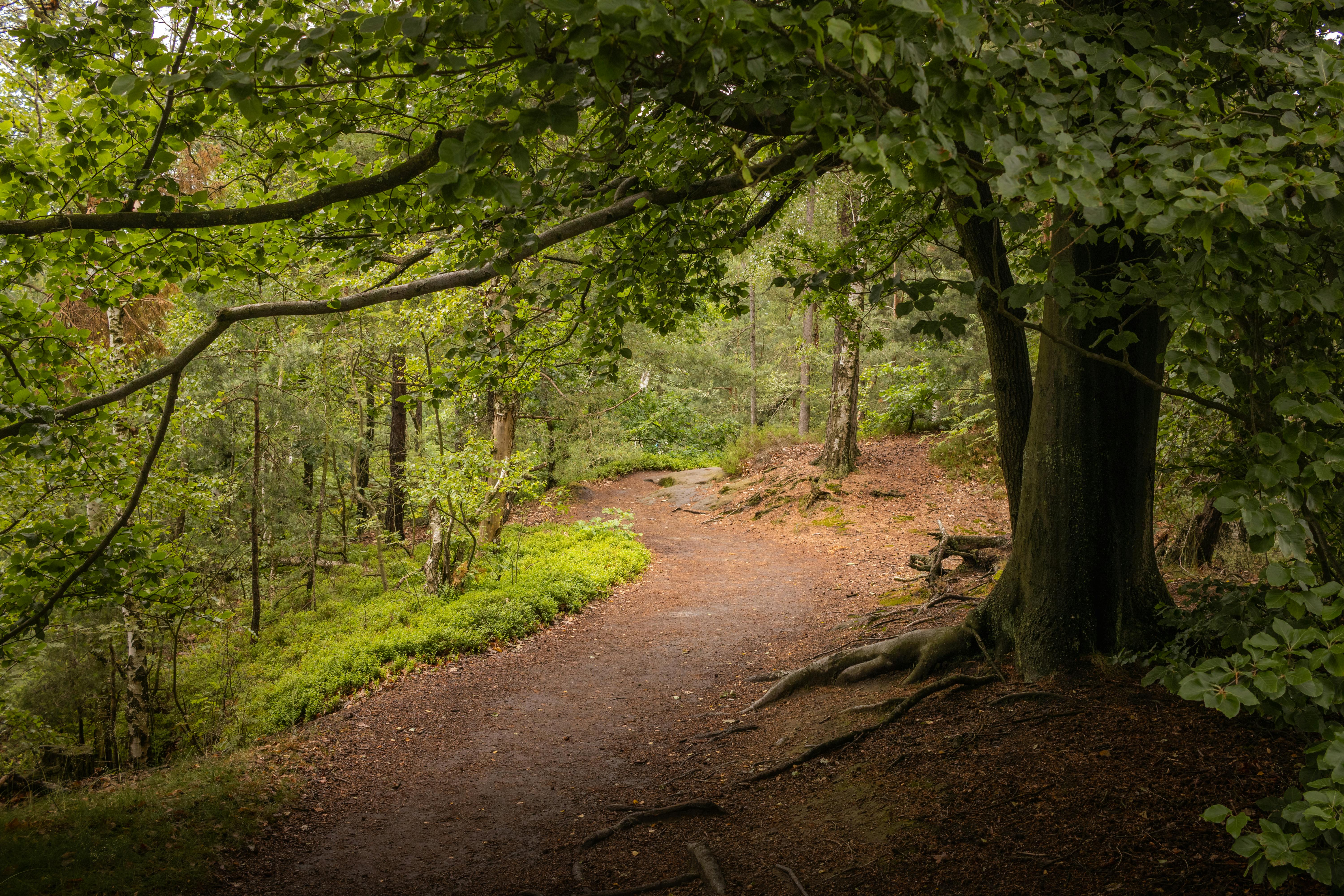 Free stock photo of 4k, background, hd