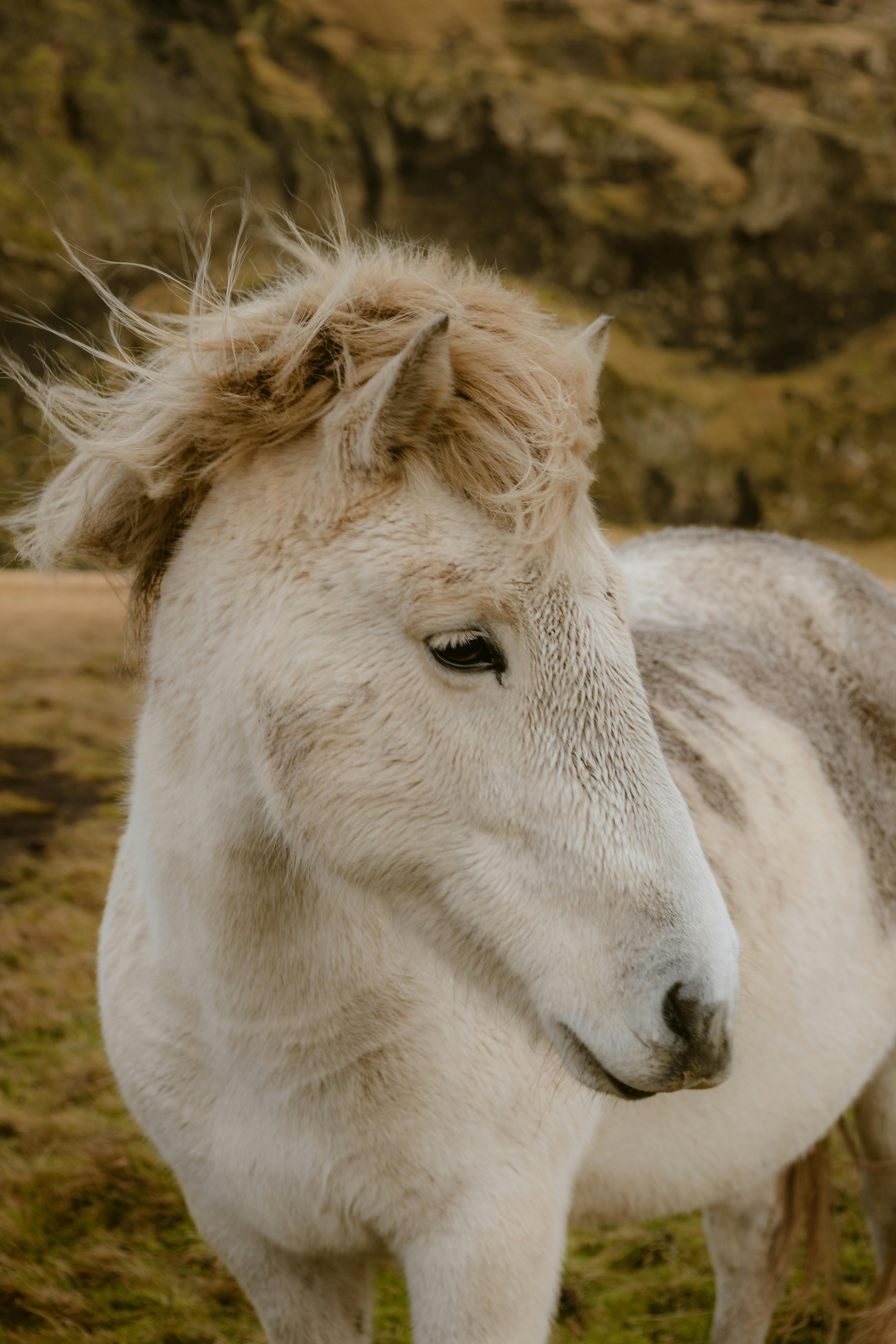 Backlinks Für Agenturen Verwalten: So Steigern Sie Ihren Erfolg 2 5 Effektive Strategien zur Verwaltung von Backlinks für Agenturen