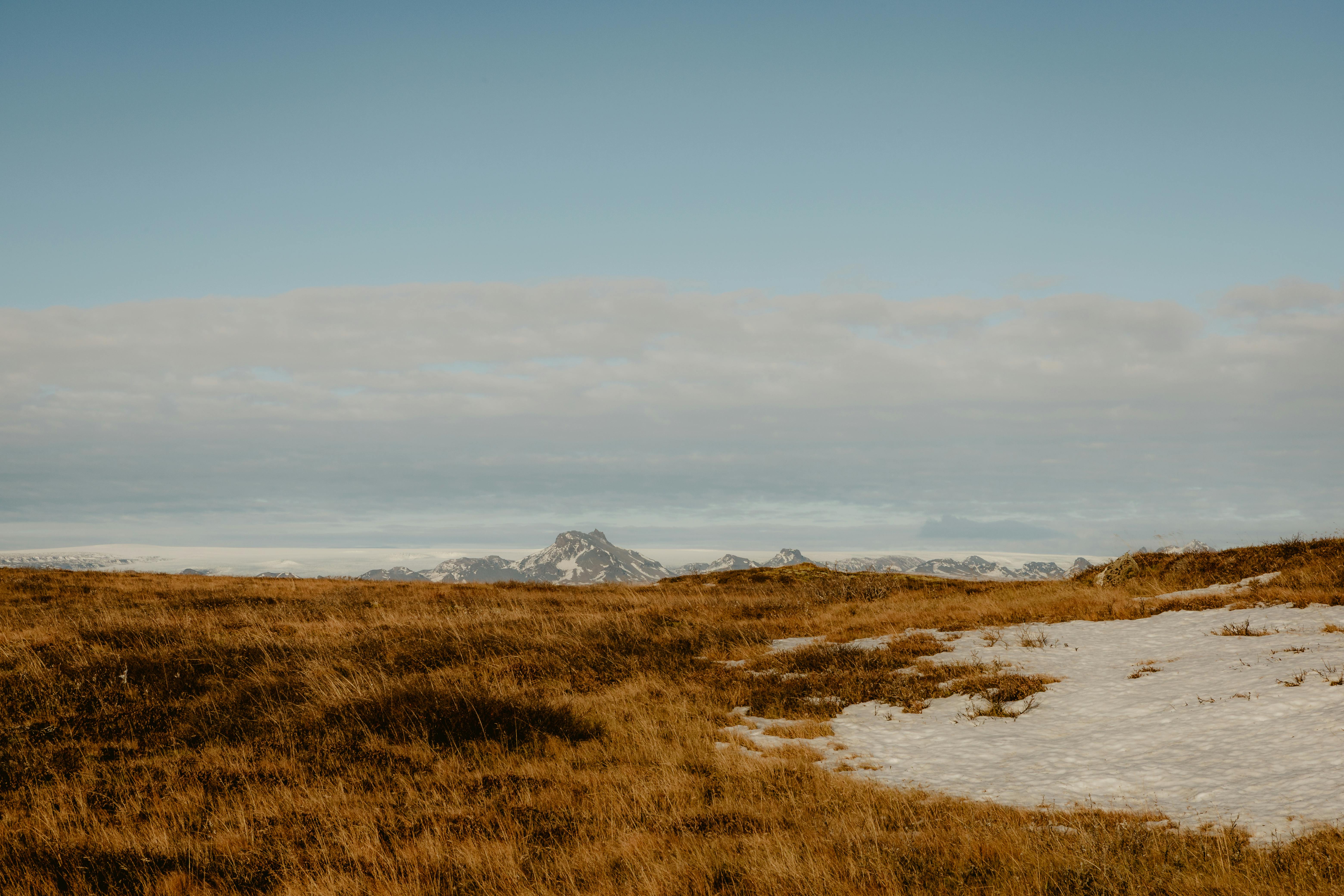 Eco-Friendly Habitat Ideas for a Sustainable Future