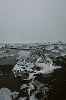 Moody winter scene of icebergs scattered on a dark beach, creating a dramatic and cold visual.