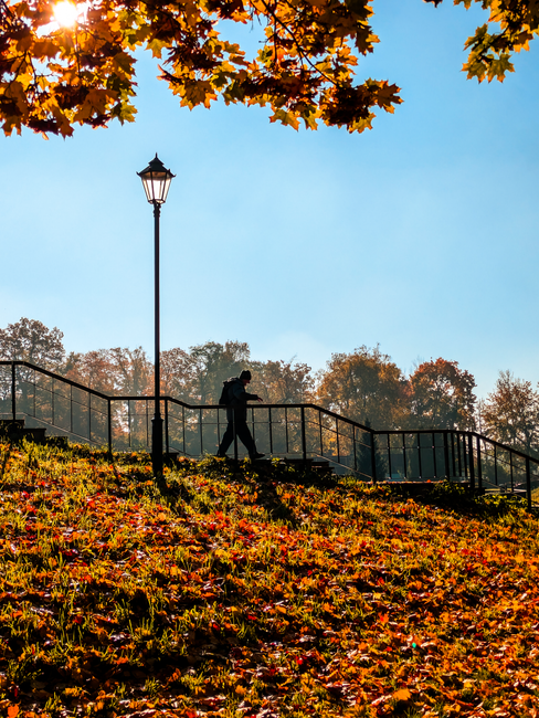 A man walking along a leaf-covered park path under autumn trees and a lamp post.