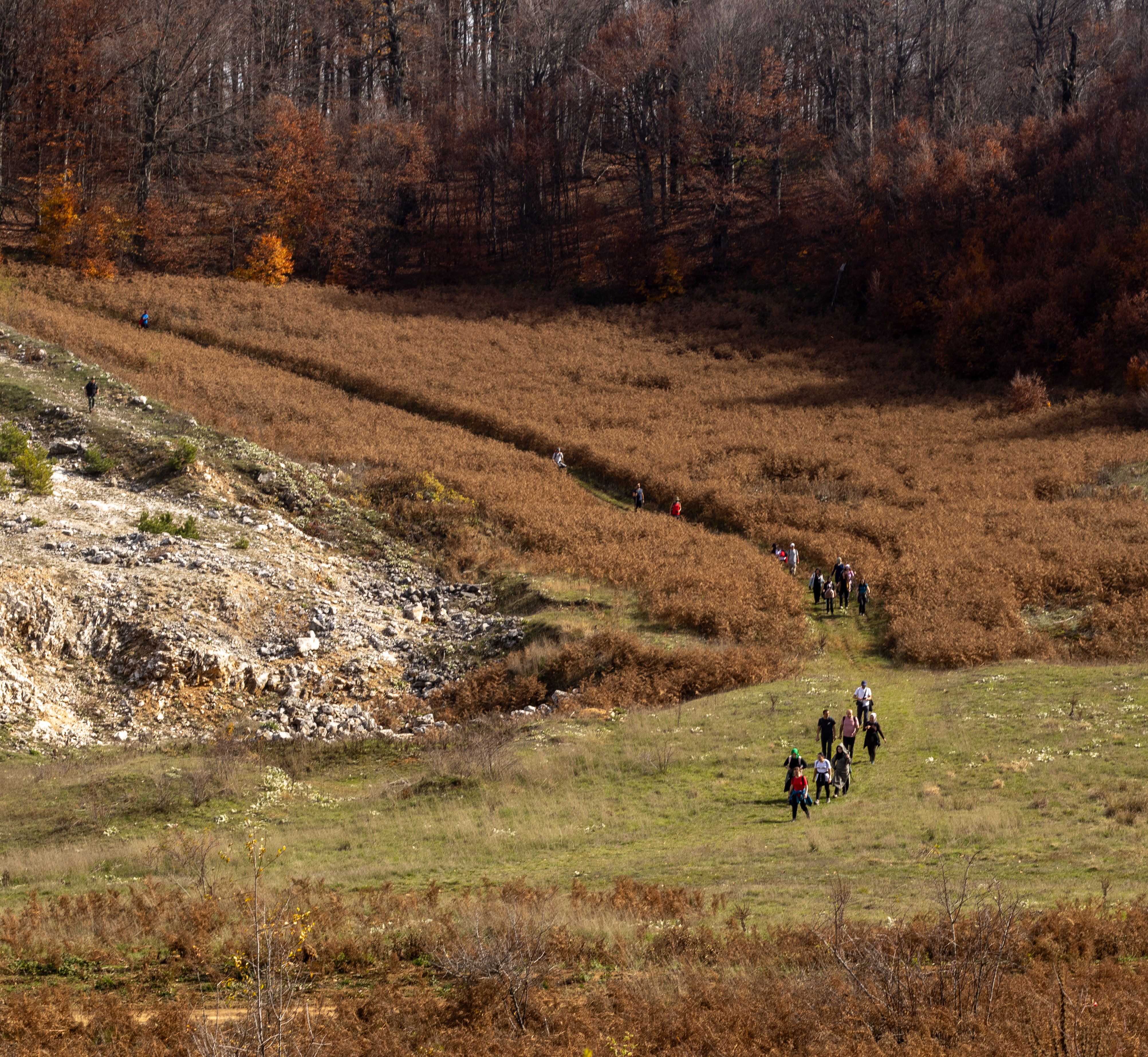 Group Hiking Through Scenic Autumn Landscape · Free Stock Photo