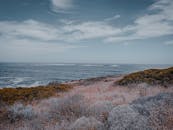 以海洋、天空和植被为特色的沿海景观的宁静景色