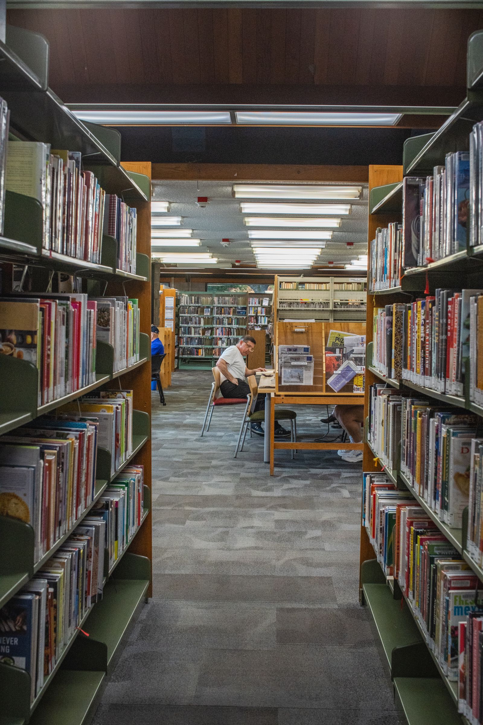 10,000+ Best Library Photos · 100% Free Download · Pexels Stock Photos