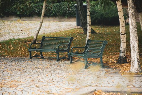 Free Two green benches surrounded by autumn leaves and birch trees in a serene park. Stock Photo