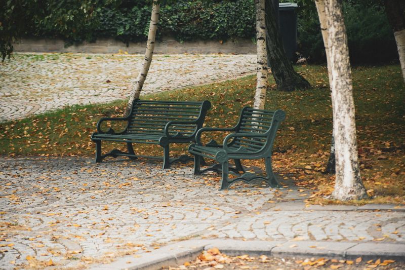Empty outdoor park benches surrounded by fallen autumn leaves, evoking a peaceful fall atmosphere.