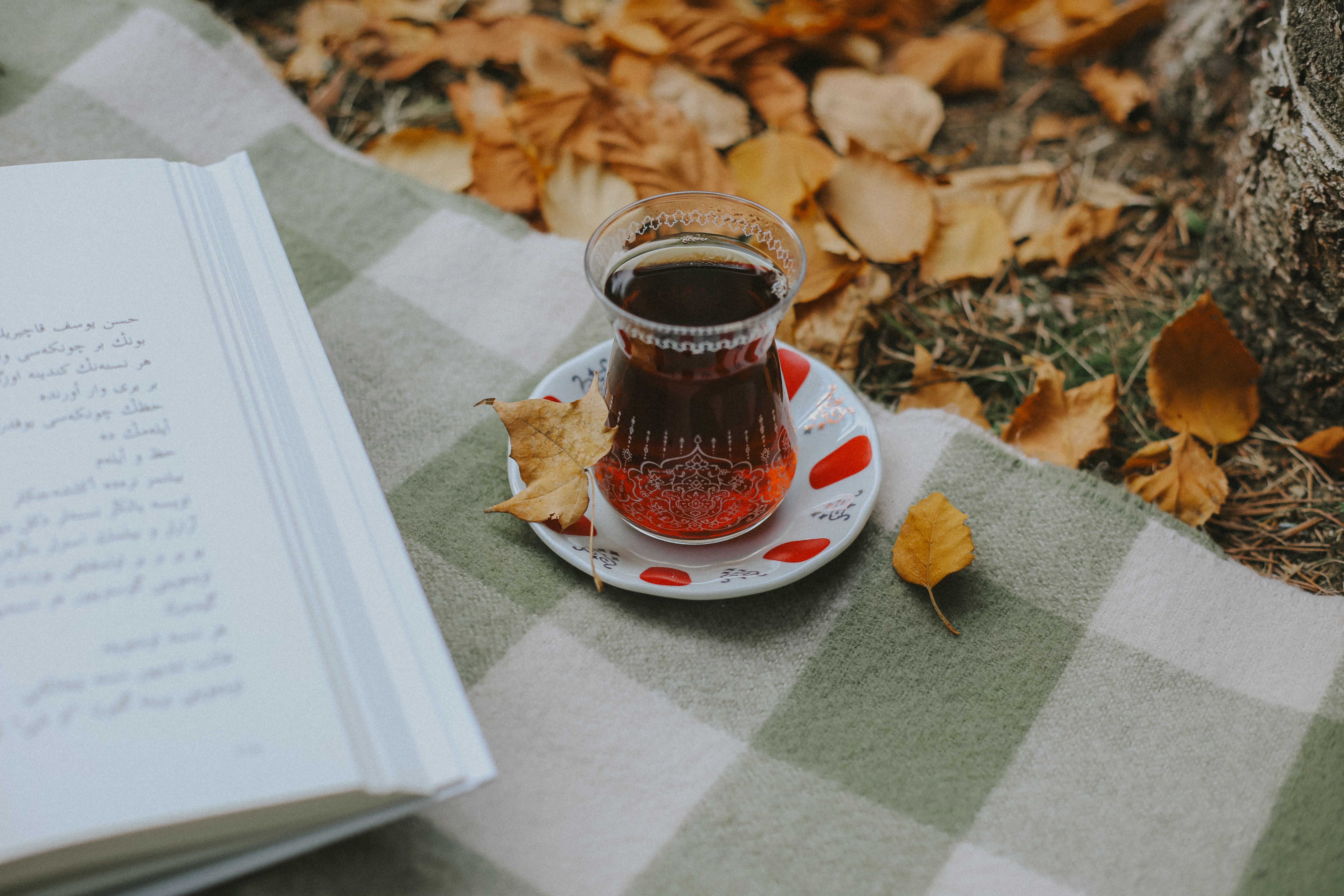 Cozy autumn picnic setting with Turkish tea, book, and fallen leaves.
