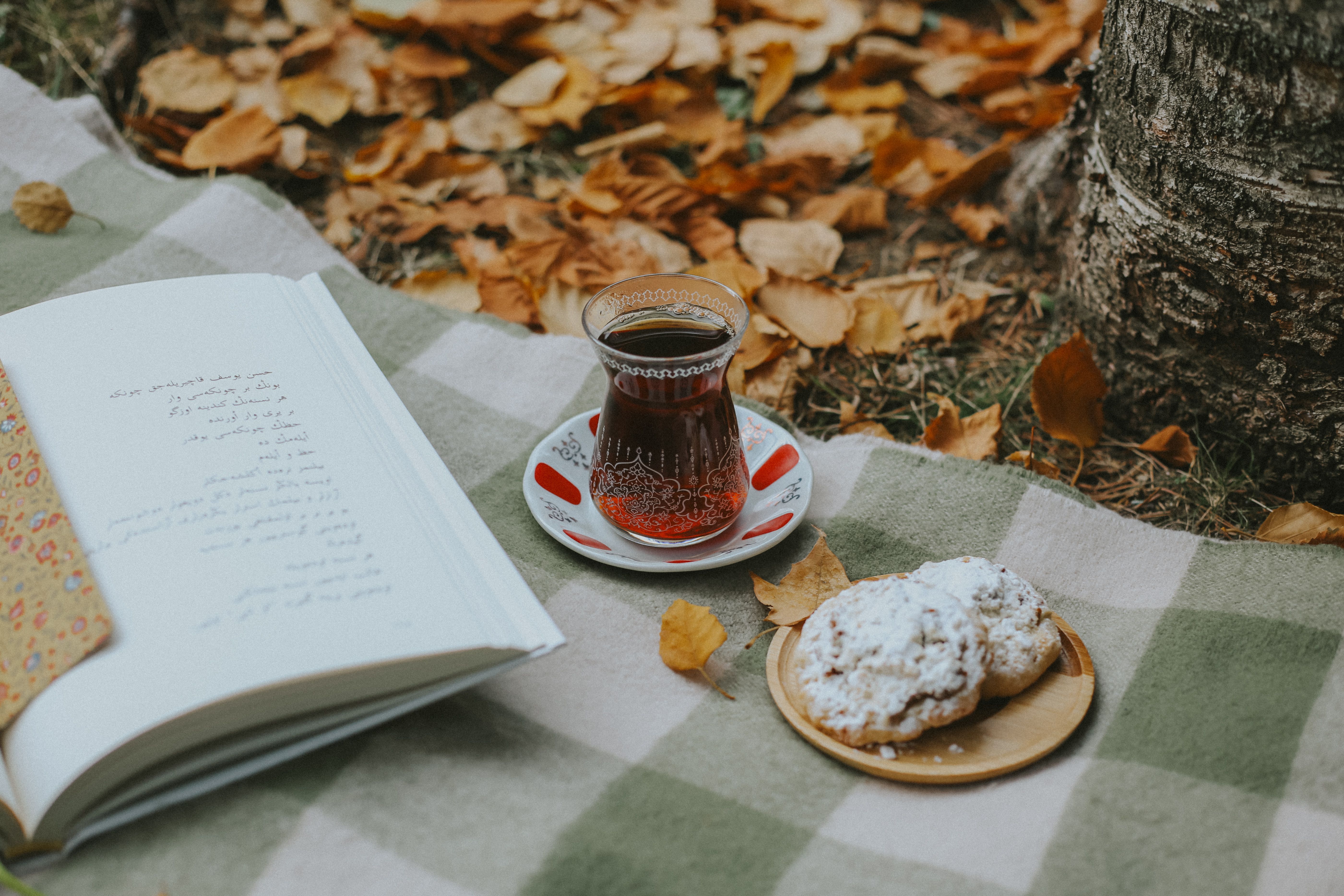 Cozy autumn picnic with tea, pastries, and a book on a blanket surrounded by fallen leaves.