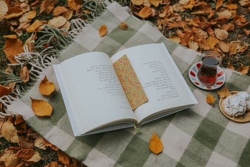 Free An open book, tea, and cookies on a blanket surrounded by autumn leaves. Stock Photo