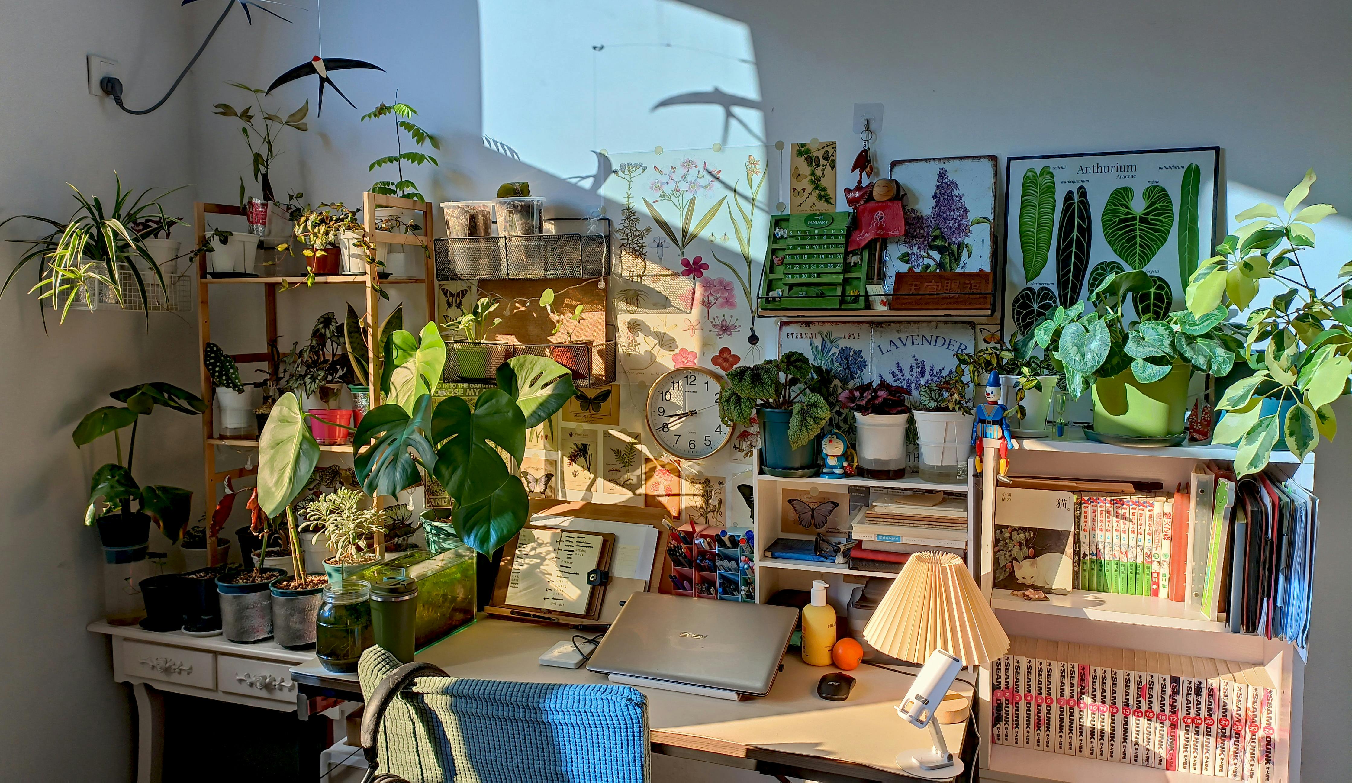 忙碌生活如何有效恢復睡眠質量？專家教你養回健康睡眠