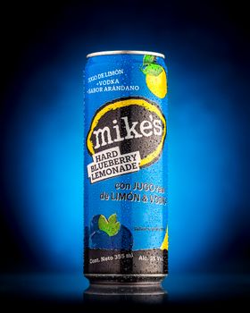 12Oz Can Blueberry Lemonade Seltzer