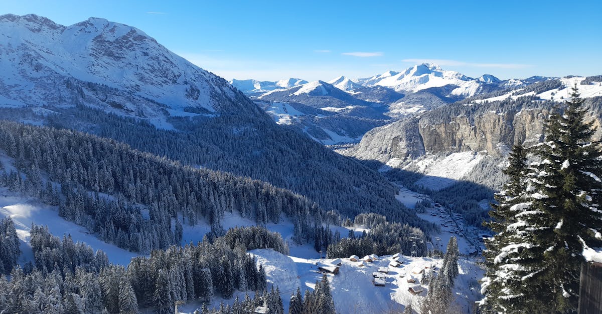 國際金融領袖投資峰會聚焦陸港經濟前景 市場展現樂觀態度
