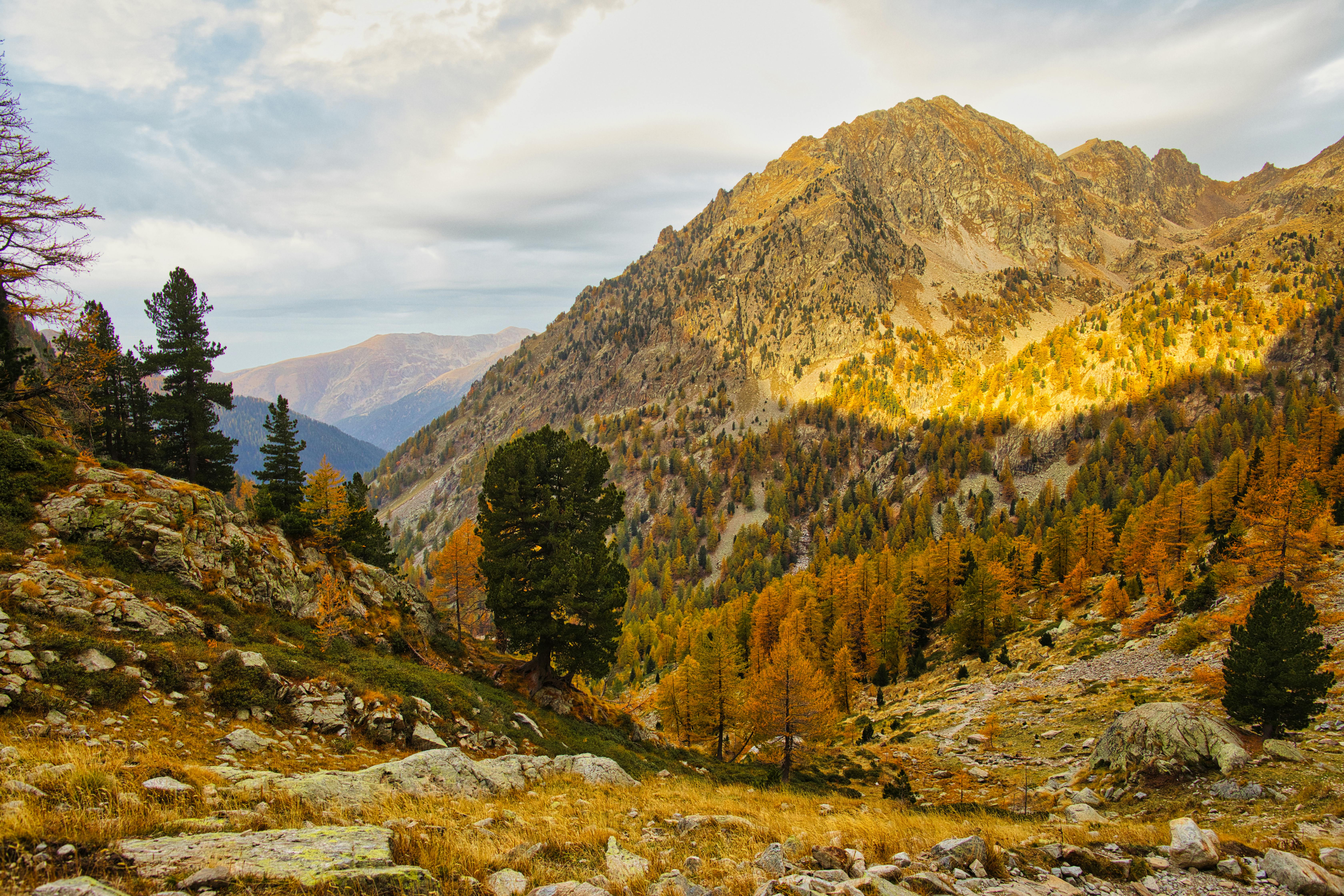 Vibrant autumn scene in Saint-Martin-Vésubie, Provence-Alpes-Côte d'Azur, France.