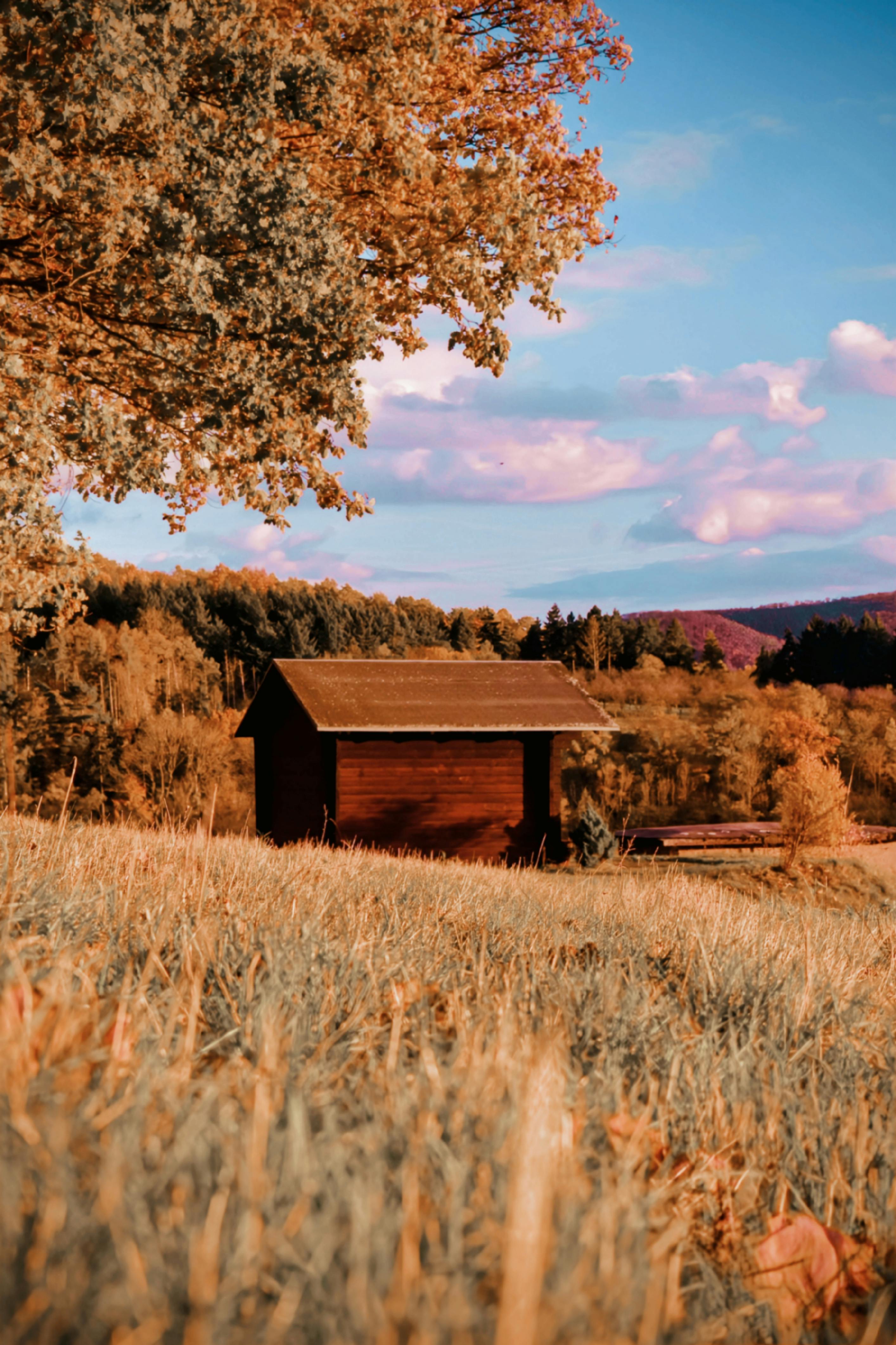 Unveiling Danny Jones' I'm A Celeb Fee: How Much Did He Really Make?