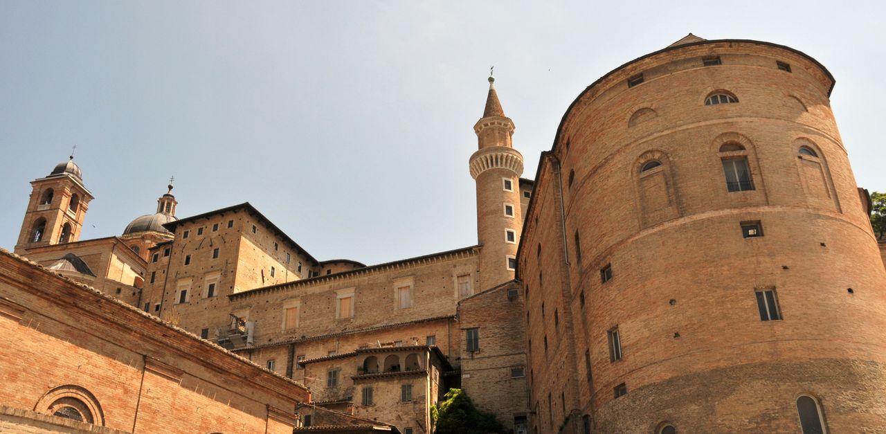 Urbino