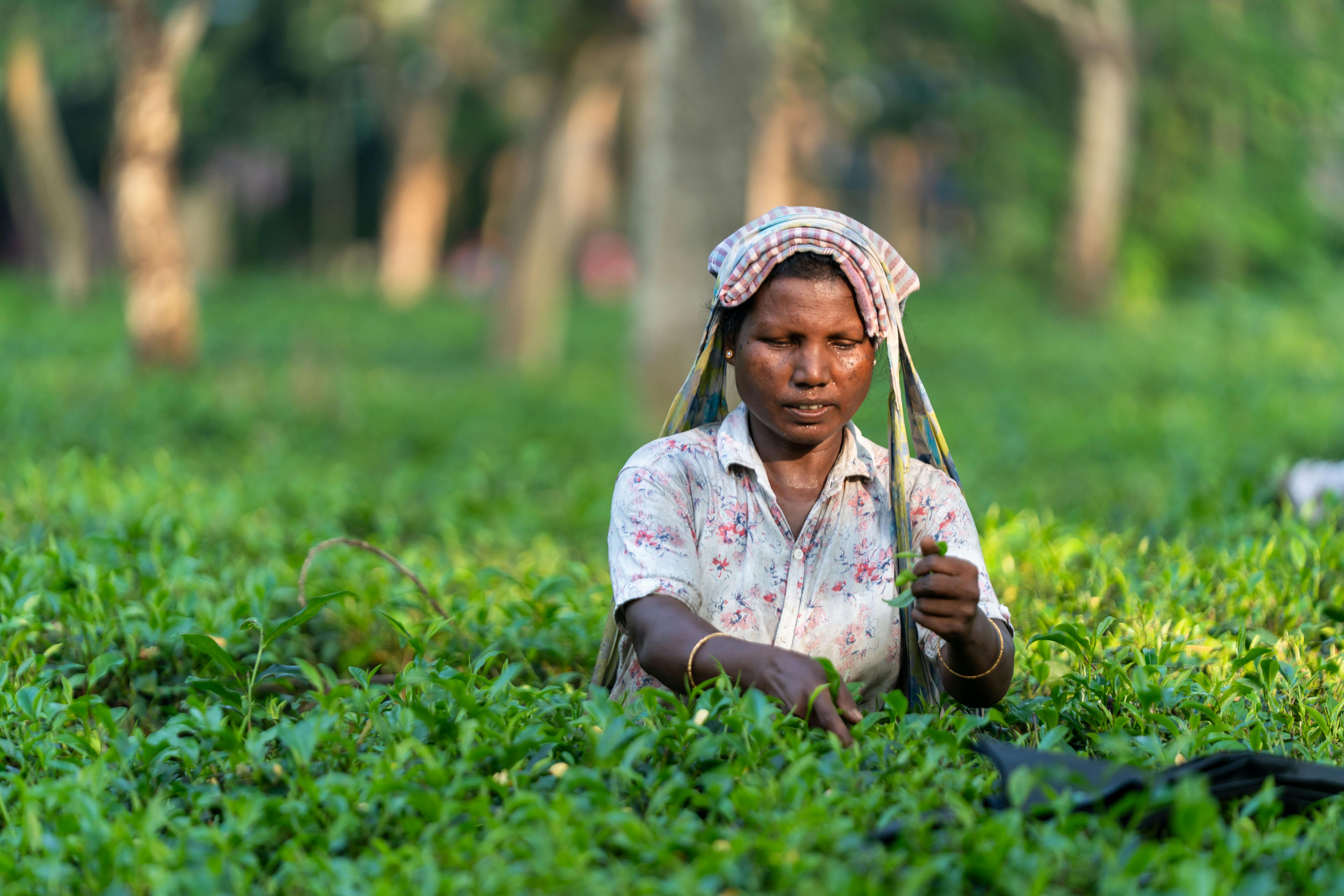 Game-Changing Inventions in Agriculture and Food Production