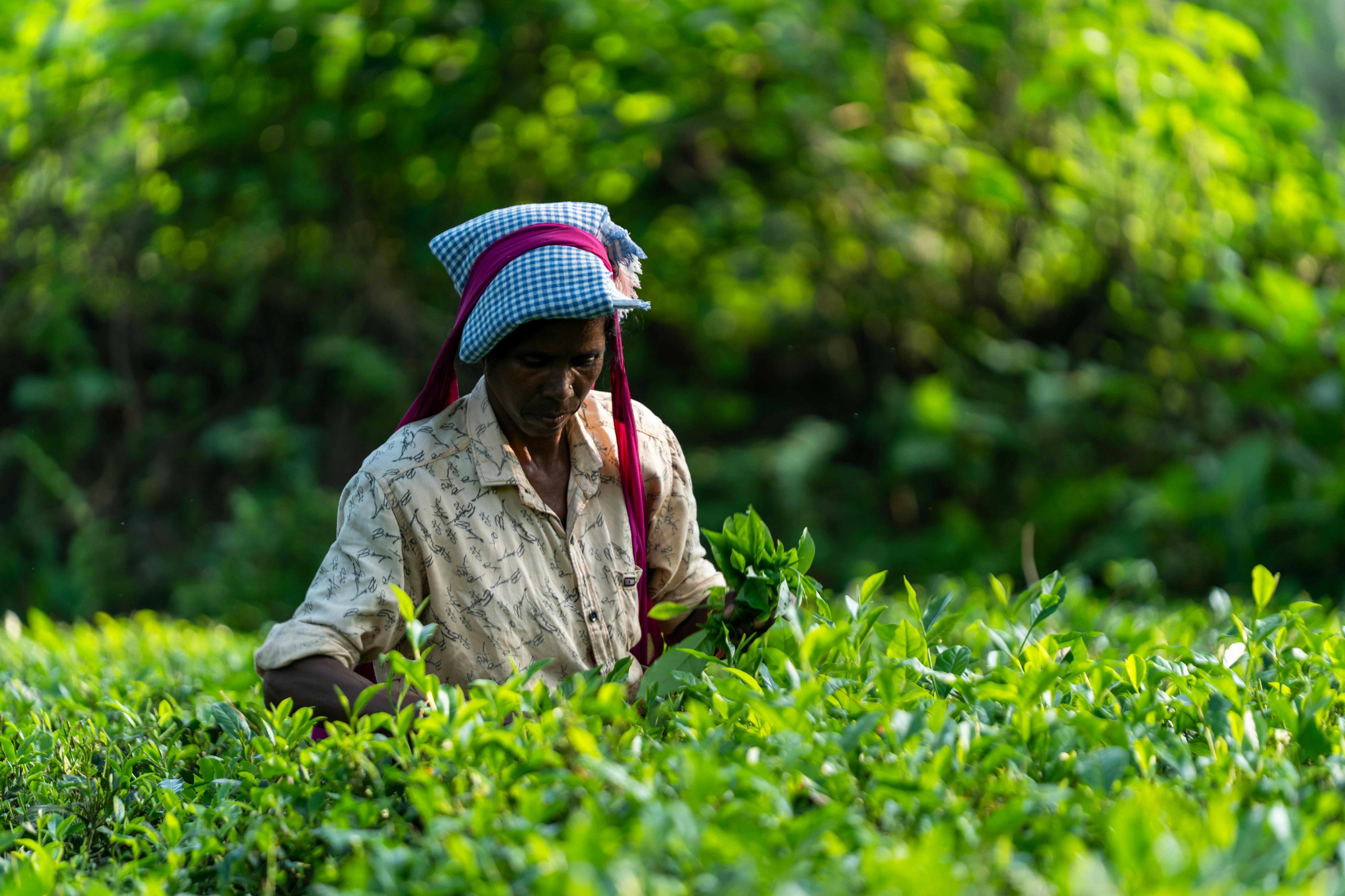 財經：本港10月中小企營商氣氛持續回升
