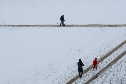 Three people walking on a snowy path, creating a serene winter scene.