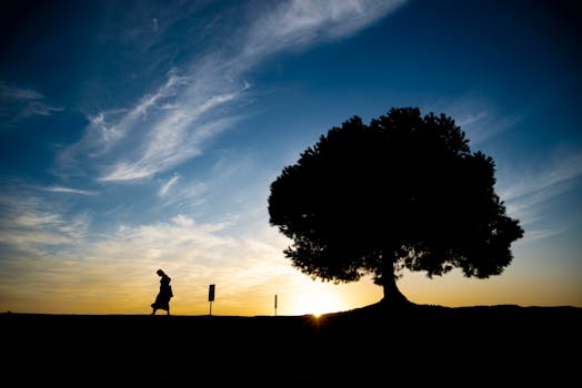 A lone person walks near a tree silhouette during a vibrant sunset.