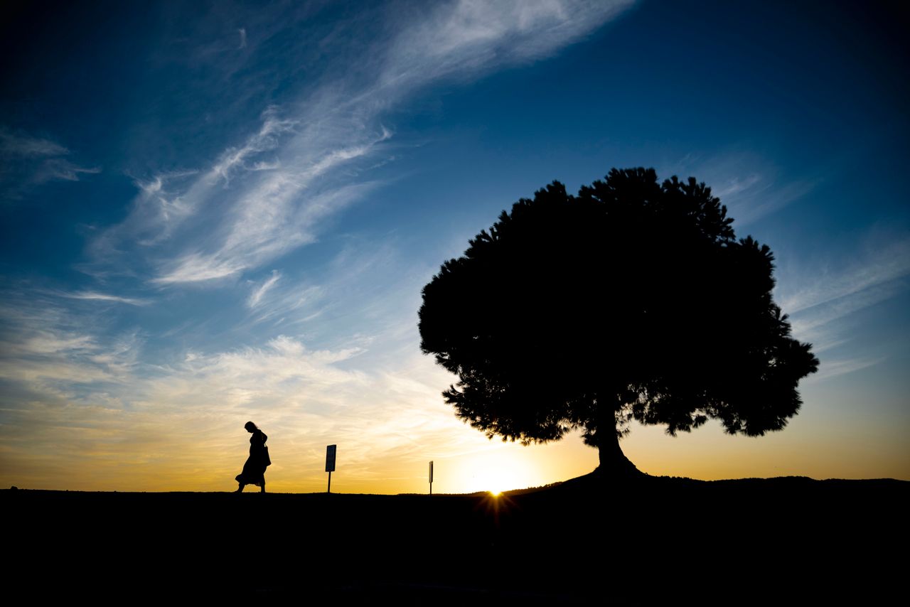 a lone person walks near a tree silhouette during a vibrant sunset