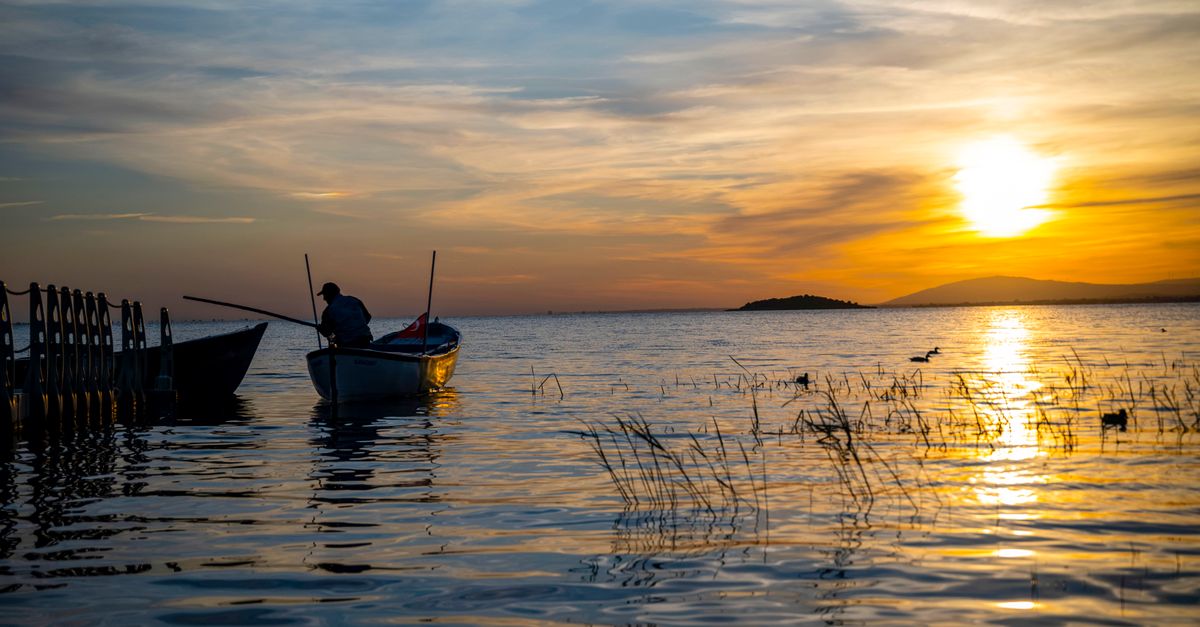 L'Art de la Pêche Zen : Pourquoi et Comment S'Initier