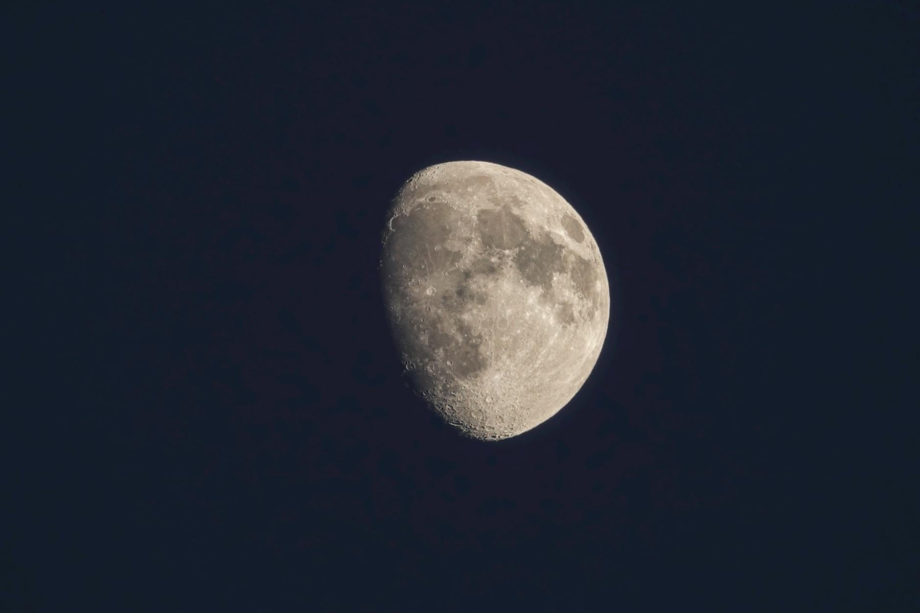 Petit Planet logo and game art featuring a customizable planet.