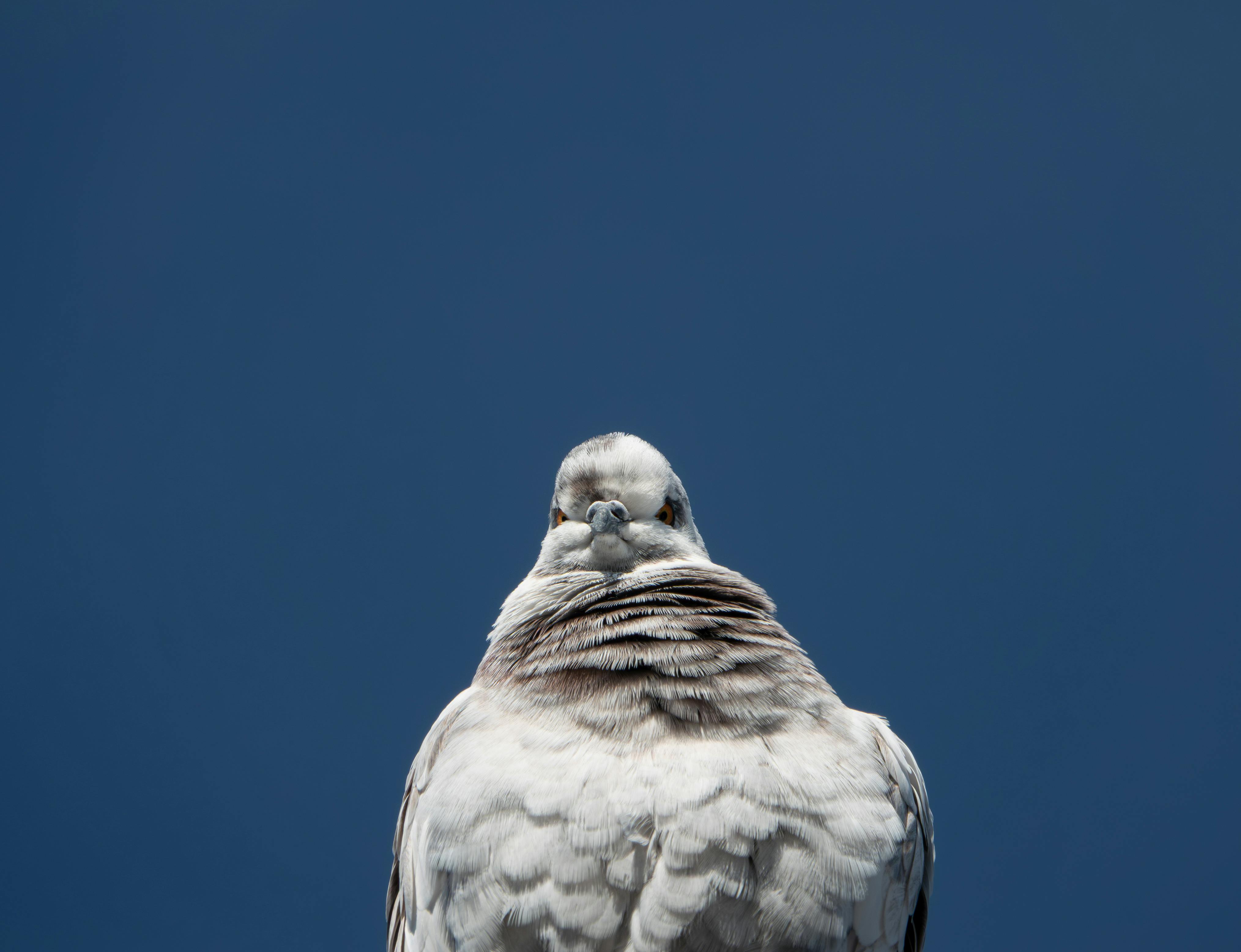 청구서 작성 예시 이미지