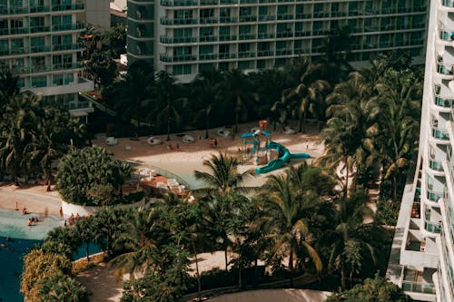 Green Palm Trees and High Rise Buildings