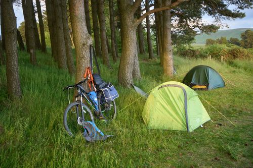 Free Peaceful camping scene with two tents and a bicycle under trees in the countryside. Stock Photo