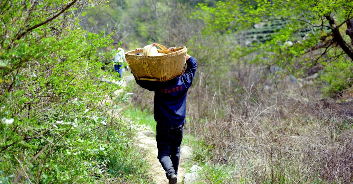 科技人的良心使命:用對的科技挽救地球未來