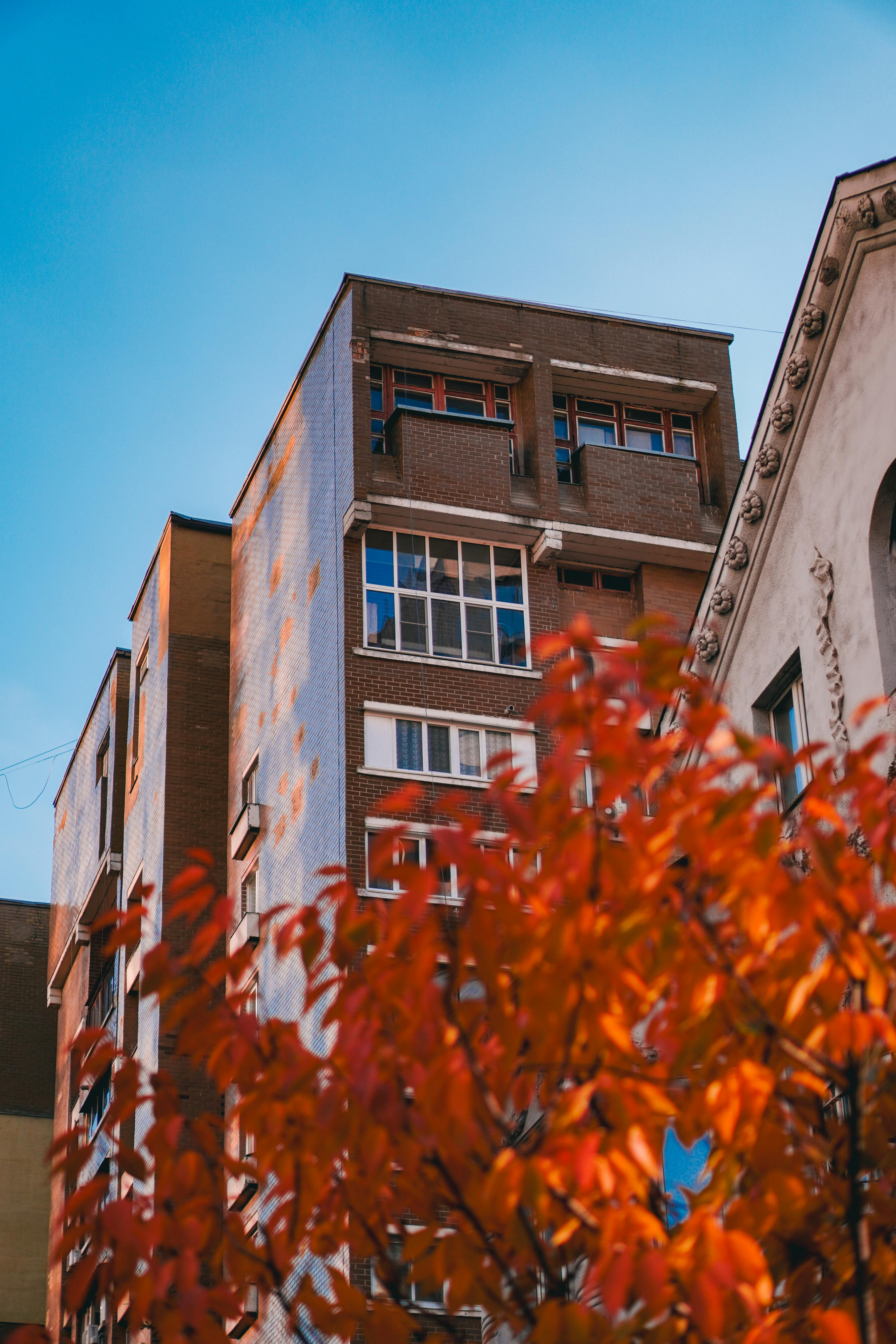 Autumn leaves against a backdrop of Kyiv's urban architecture under a clear blue sky.