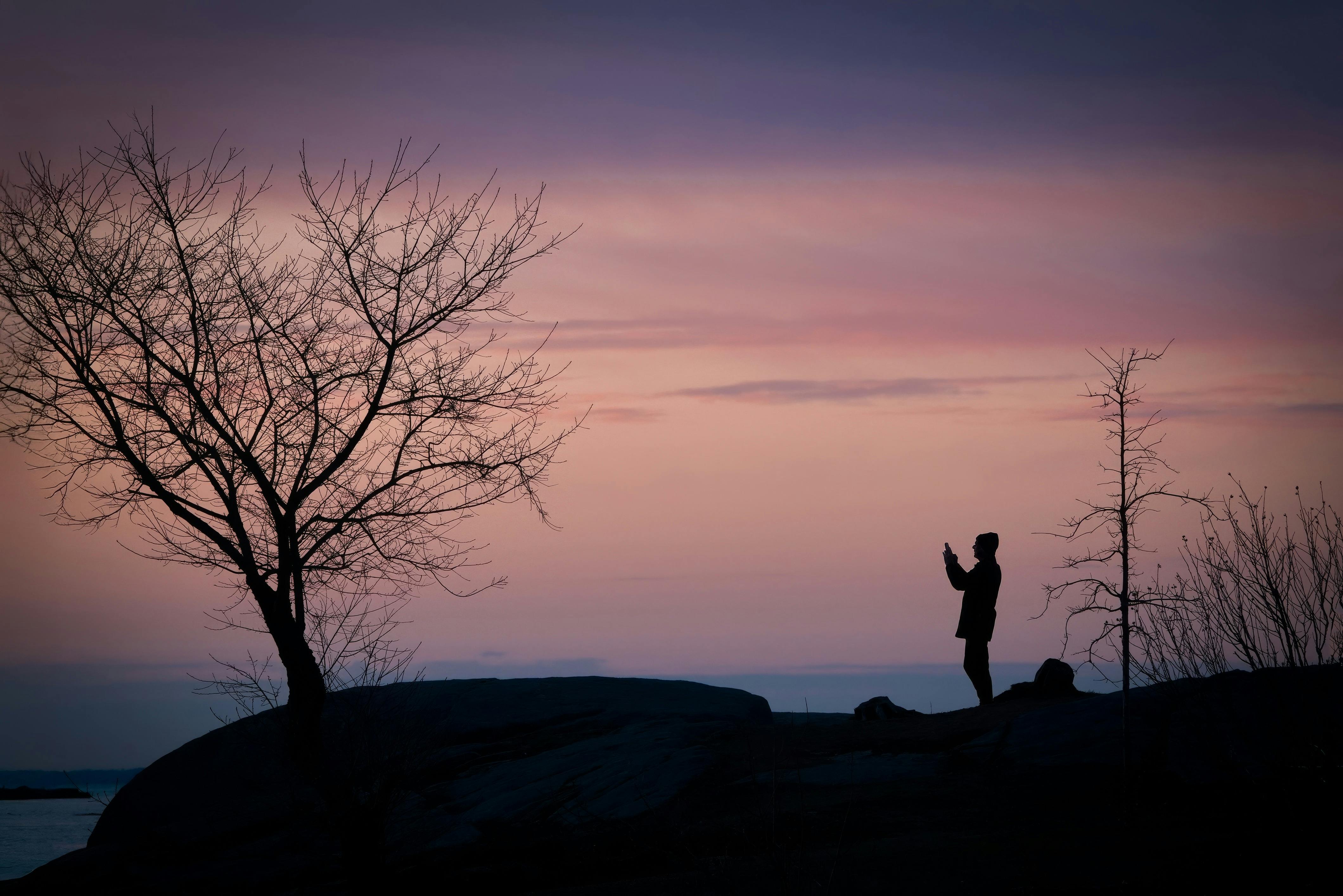 Silhouette of a person capturing the serene sunset with a barren tree nearby. Tranquil evening scene.