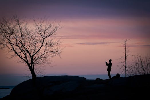 Silhouette of a person capturing the serene sunset with a barren tree nearby. Tranquil evening scene.
