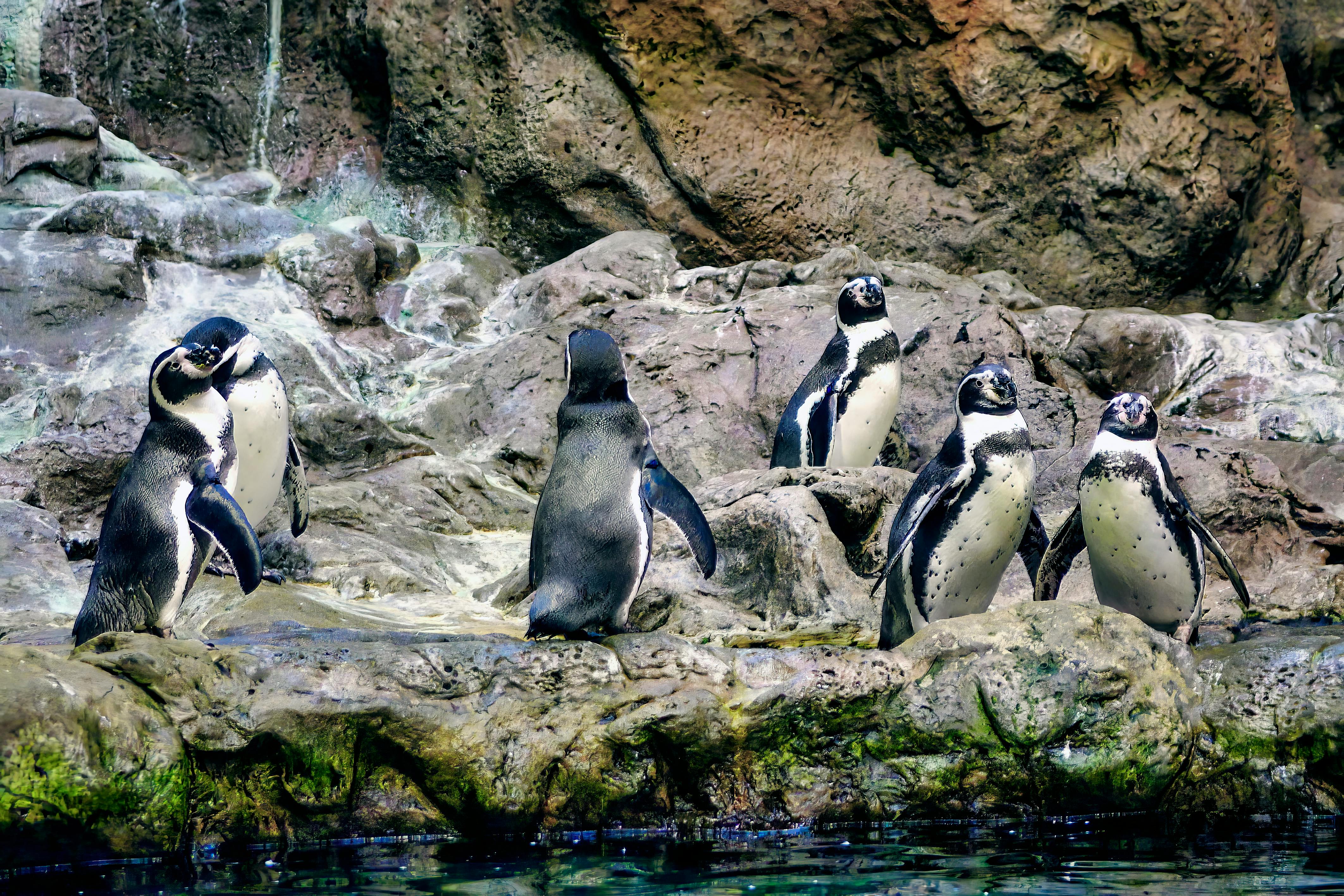 台經院警示：氣候變遷與地緣政治影響下 2026經濟成長恐低於3%