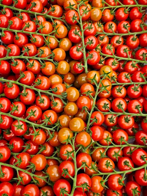 Free Vibrant cherry tomatoes neatly arranged in Szeged, Hungary market. Perfect for healthy eating concepts. Stock Photo