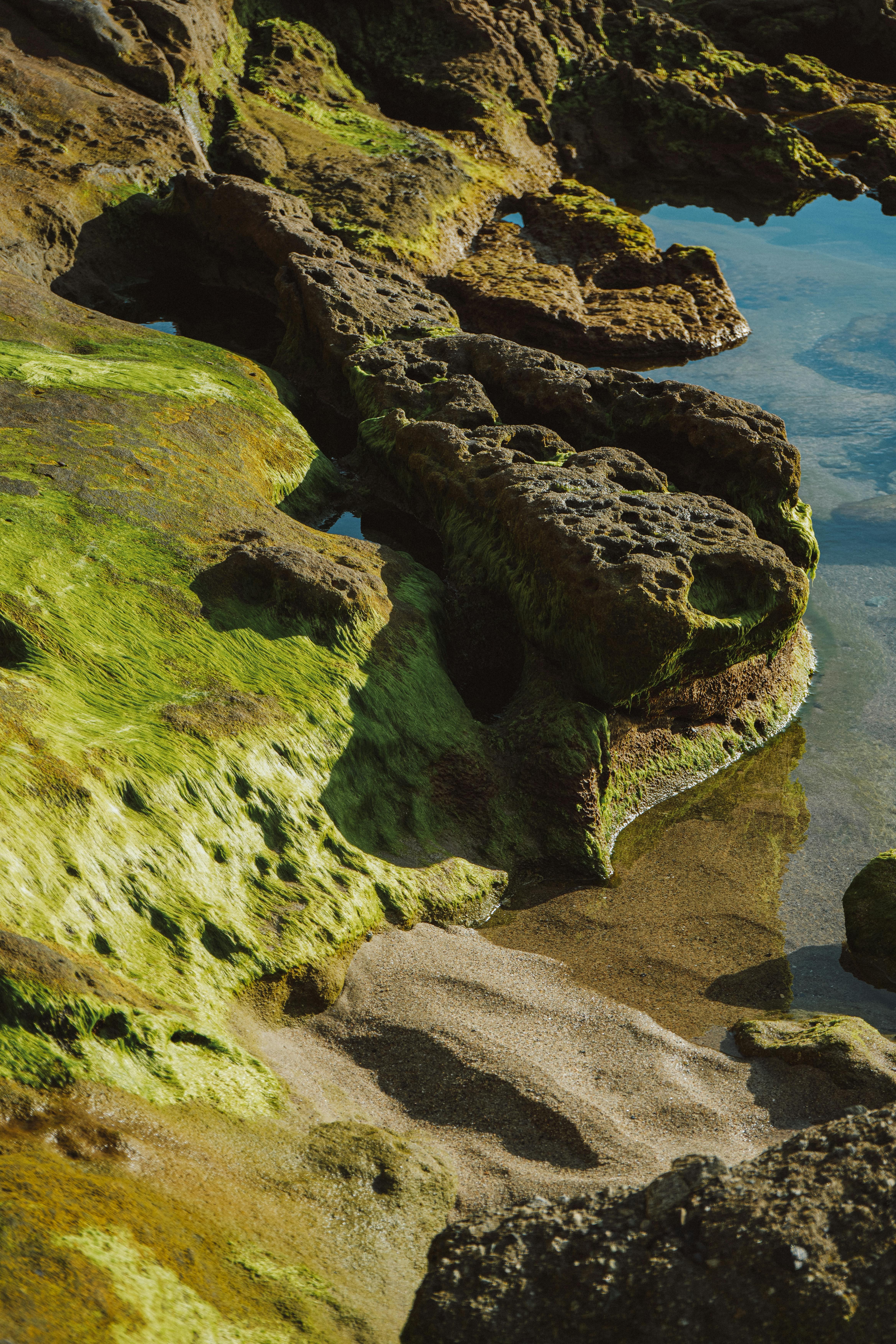 Beautiful rock formations with green algae along a coastline, creating an earthy and vibrant scene.