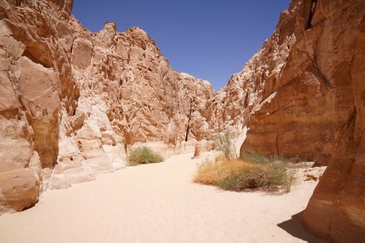 Elephant Rock at sunset — AlUla