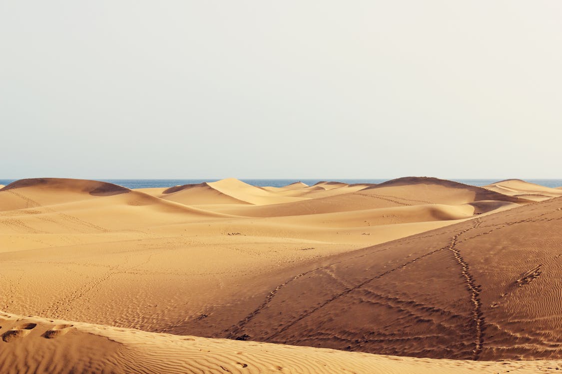 무료 갈색 사막 스톡 사진